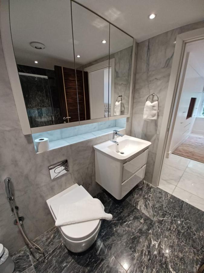 Buckingham Palace Residences By Aeria Apartments 伦敦 外观 照片